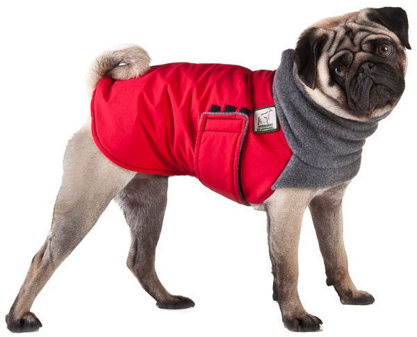 PUG Winter Dog Coat