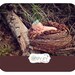 Newborn bird nest photo prop-Photo prop Large Bird's Nest  for Babies- Newborn-owl nest