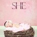 Newborn Bird Nest Photo Prop-Sweet Little Birdie Nest Baby Newborn Photo Prop