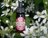 Radical Scavenger, an Intensive Face Serum with Helichrysum, Pomegranate & Argan, Black and Red Raspberry Seed Oils, Rich Spot Treatment