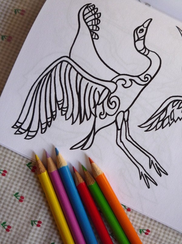 Beautiful Birds colouring book