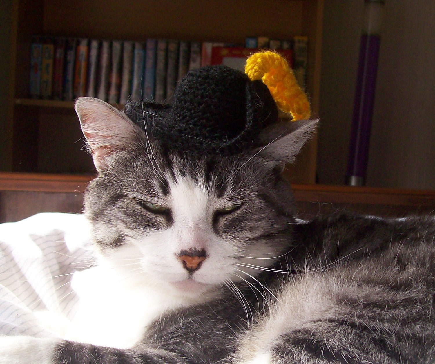 Puss In Boots Crochet Hat For A Cat