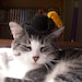 Puss In Boots Crochet Hat For A Cat