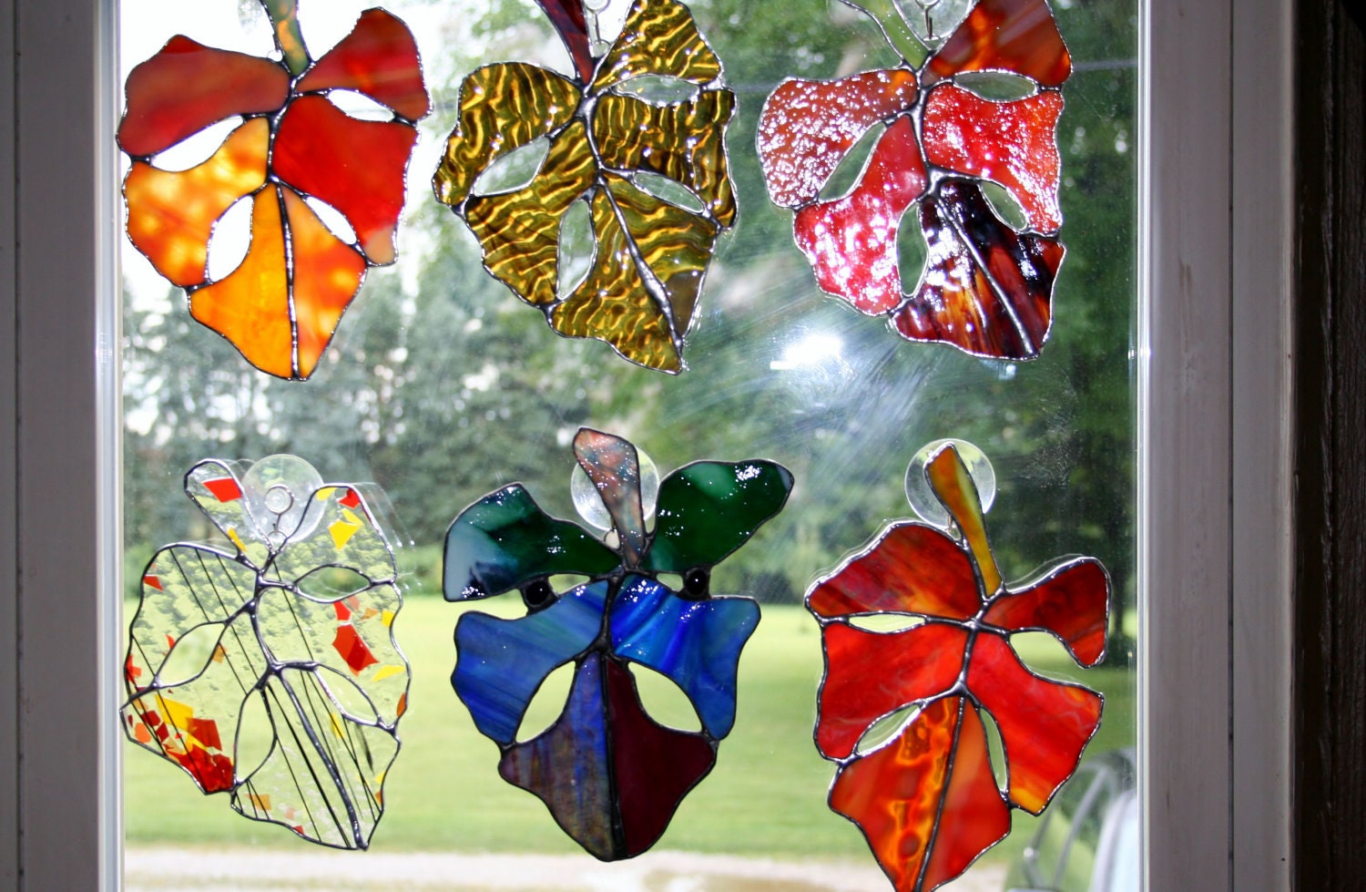 The Leaves of Glass SRA Z19