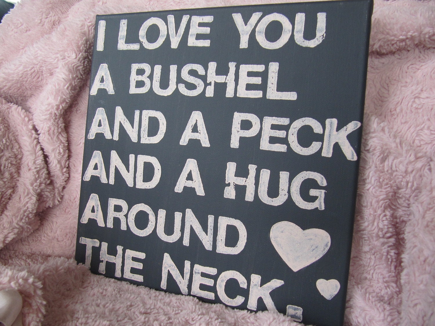 12X12 Canvas Sign - I Love You A Bushel And A Peck And A Hug Around The Neck, Gray and Pink, Typography word art, Decoration, Gift