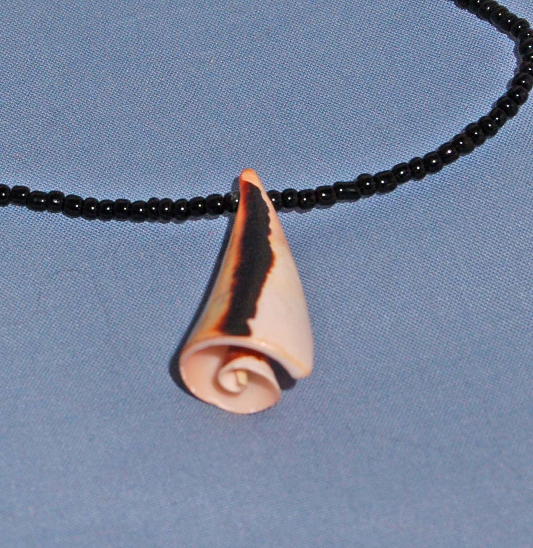 Shell Surprise Pendant by Kayiranga John