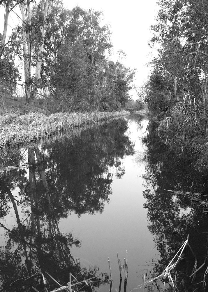 Reflection - Fine Art Photograph 5x7 Black and White - JilleinPhotography