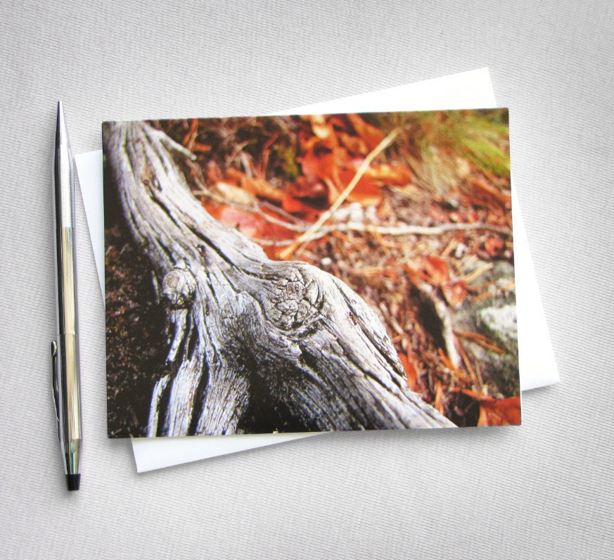 Autumn Leaves and Branch blank photo card (Truth)