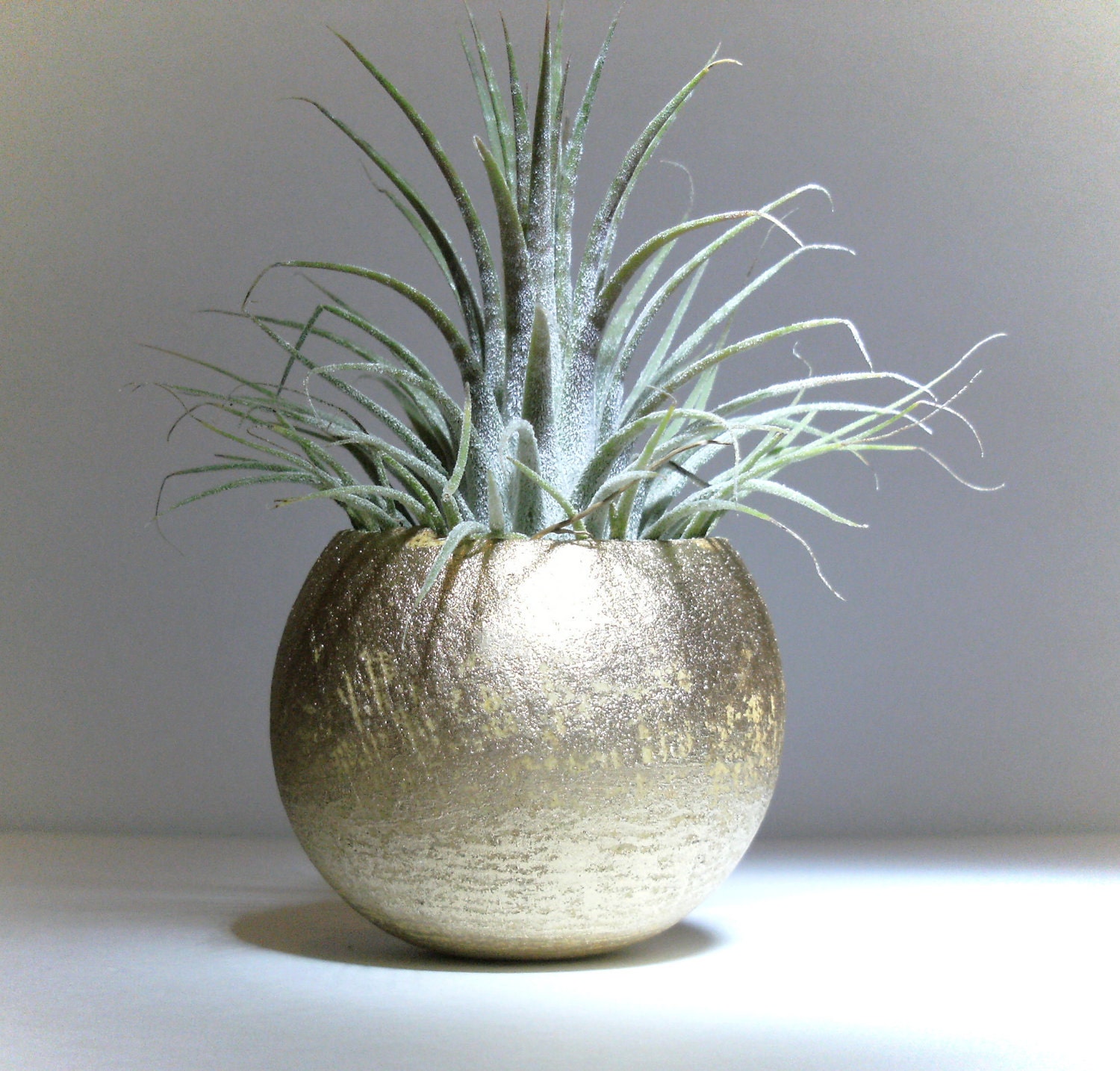 Tillandsia Pod Container // Gold, Copper, Silver or Lime Green // Home and Garden // Gifts under 10