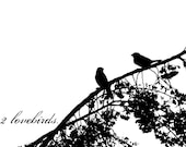 Valentine's Day Love Anniversay Wedding Birds Minimalist Black and White Silhouette - 5 x 7 art print by Dawn Smith