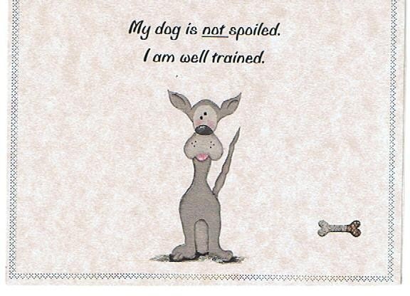 Everyday Humorous Greeting Card-Blank Inside-Hissy Fit 4-My dog is not spoiled