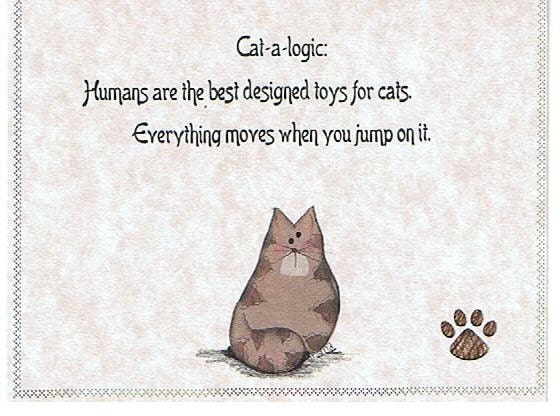 Everyday Humorous Greeting Card-Blank Inside-Hissy Fit Card-7-Humans are the best designed toys