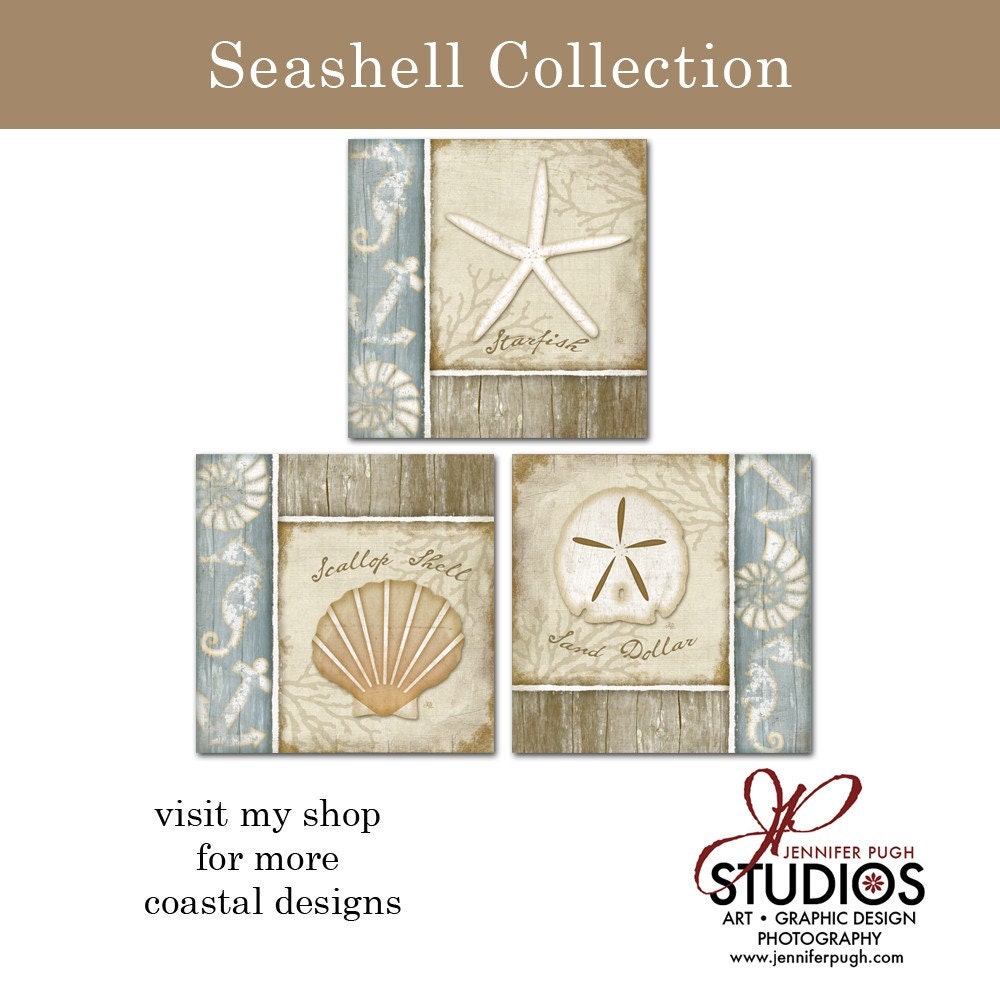 Coastal Seashells - 6x6 Art Print Set