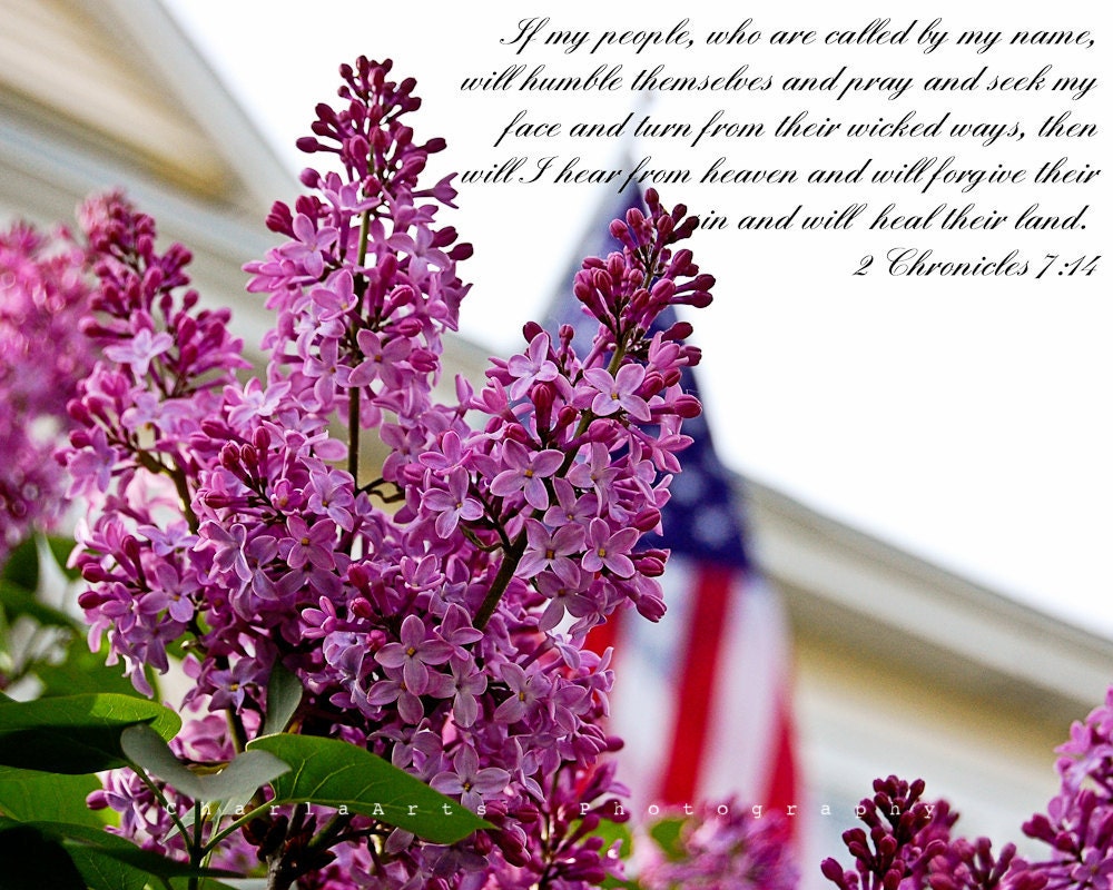 Lilacs and Love