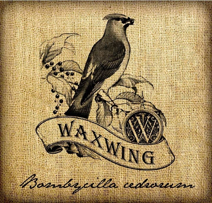Waxwing Scroll Monogram Digital Image Transfer Download jpeg or png 300 dpi for Pillows Totes Bags Napkins Towels