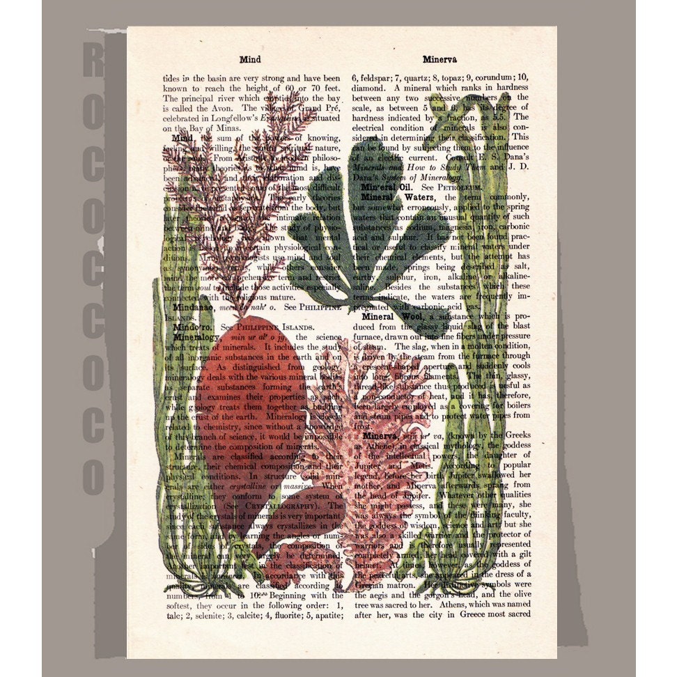 SEAWEEDS  -ARTWORK  printed on Repurposed Vintage Dictionary page -Upcycled Book Print