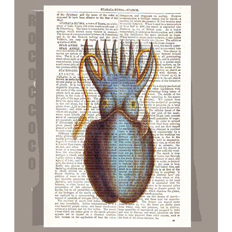 Top View CUTTLEFISH  - ARTWORK  printed on Repurposed Vintage Dictionary page -Upcycled Book Print