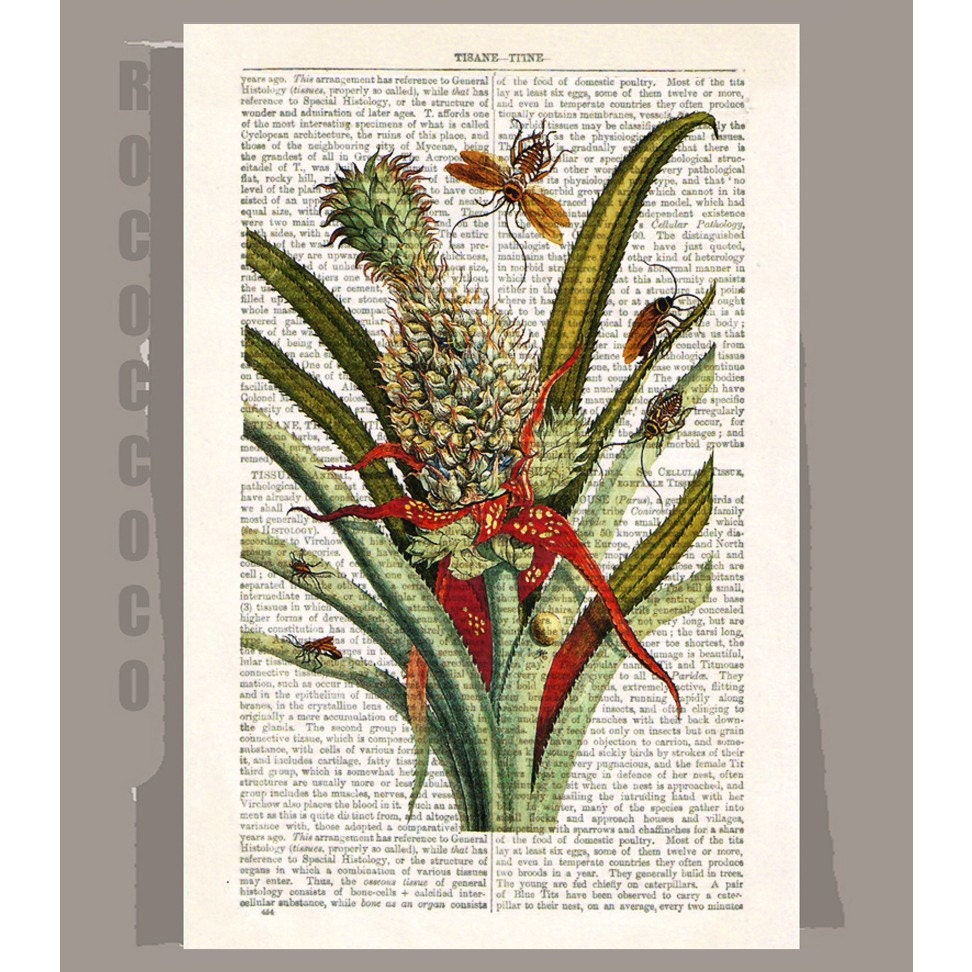BOTANICAL3 Artwork on a page from vintage Dictionary -Upcycled Book Print