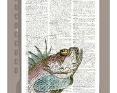 Vintage Spike Fish Portrait1 - ARTWORK printed on Repurposed Vintage Dictionary page- FREE Domestic Shipping
