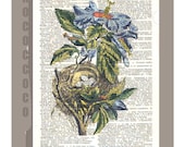 Beautiful FLOWER  and Nest - Artwork on a page from vintage Dictionary -Upcycled Book Print