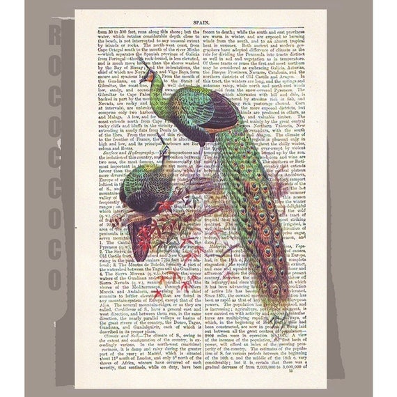 PEACOCK - ARTWORK printed on Repurposed Vintage Dictionary page -Upcycled Book Print