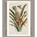 BOTANICAL3 Artwork on a page from vintage Dictionary -Upcycled Book Print
