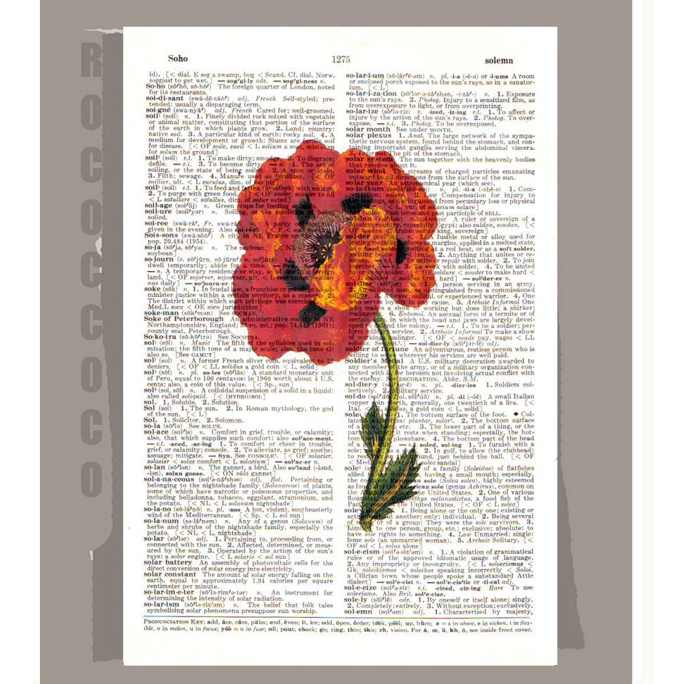 Antique POPPY Artwork on a page from vintage Dictionary -Upcycled Book Print