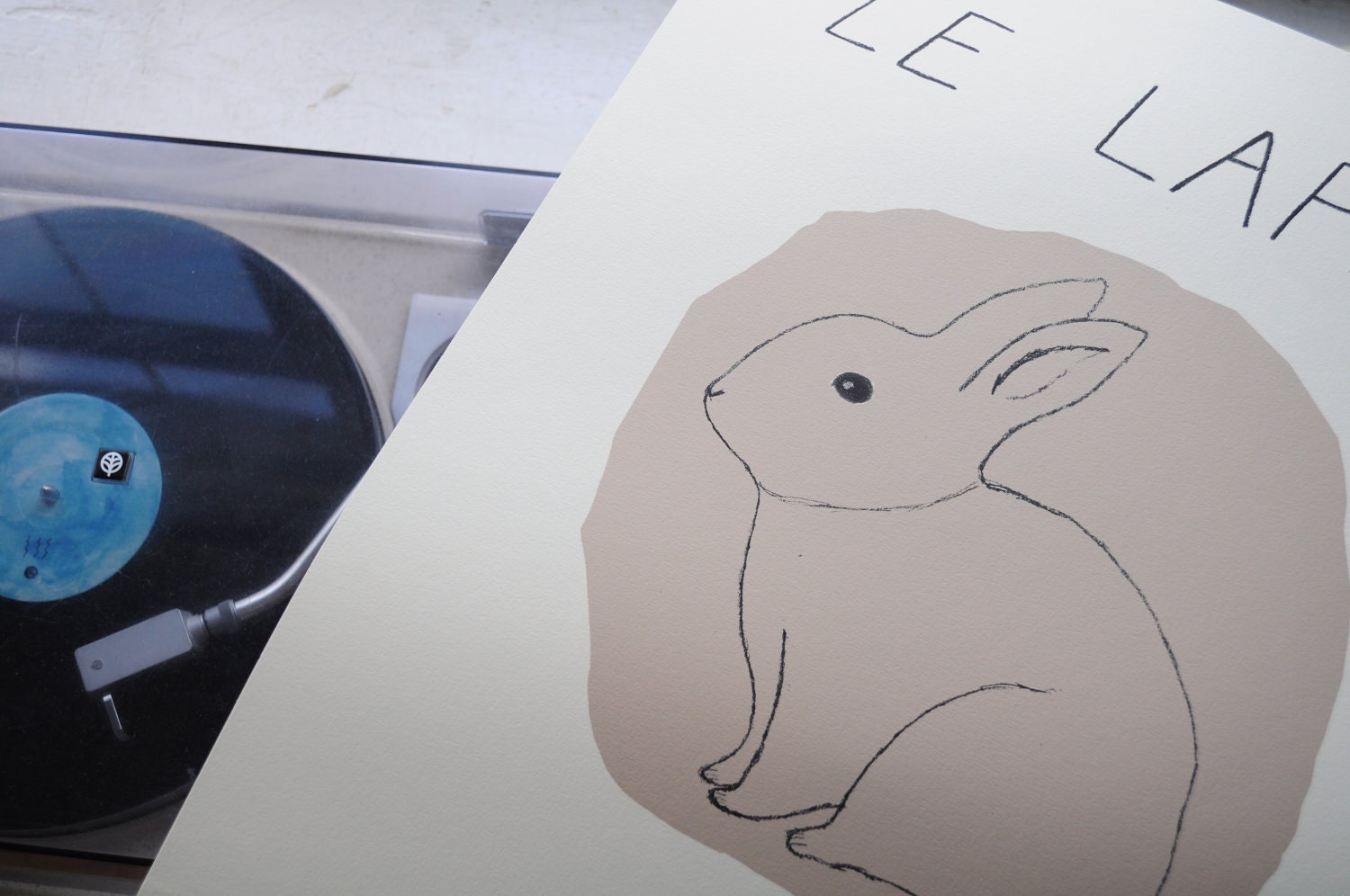 le lapin
