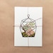 Terrarium Postcard SET 4pcs