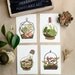 Terrarium Postcard SET 4pcs