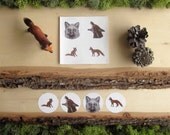 Illustrated Fox Stickers - Round Animal Stickers - Set of 4 - Letter Seals