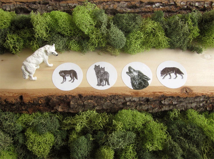 Illustrated Wolf Stickers - Round Animal Stickers - Set of 4