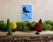 Red Winged Black Bird- Illustrated Wildlife Animal Sticker - Original Art