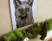 Illustrated Silver Fox Postcard - A Tender Moment