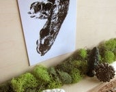 Illustrated Dog Paw Postcard - Pair of Paws