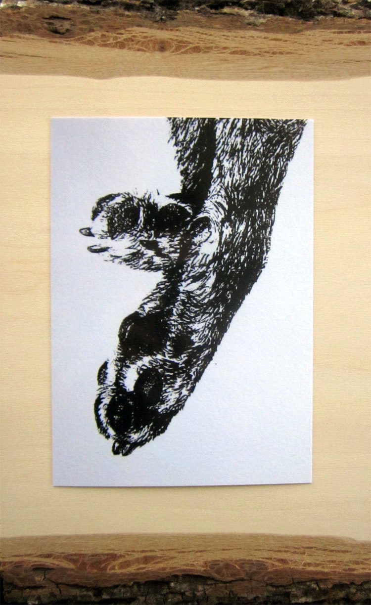 Illustrated Dog Paw Postcard - Pair of Paws