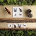 Illustrated Fox Stickers - Round Animal Stickers - Set of 4 - Letter Seals