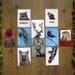 Illustrated Animal Postcards - Set of 10 Glossy Postcards