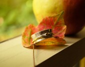 Special Message SPIN ring