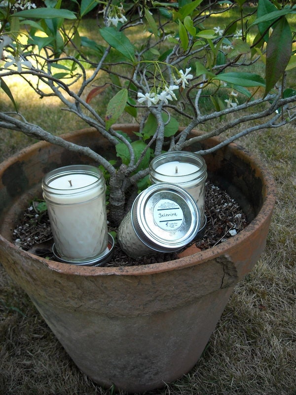 Jasmine soy and palm wax 8oz jar