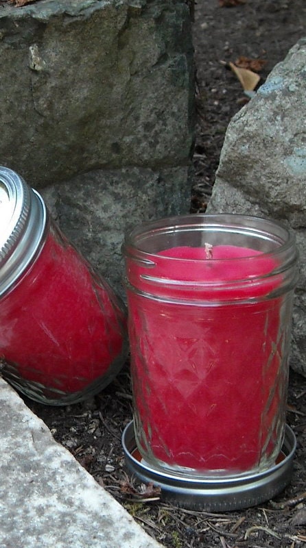 Cinnamon Bear soy and palm wax 8 oz jar candle