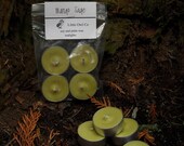 mango sage tealight 4 pack
