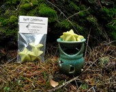 apple cinnamon candle melts