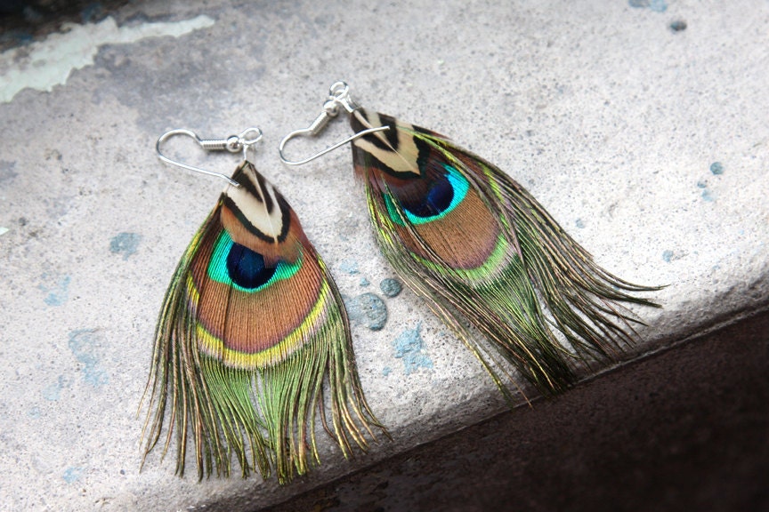 Mini Peacock Feather and Pheasant Feather Earrings