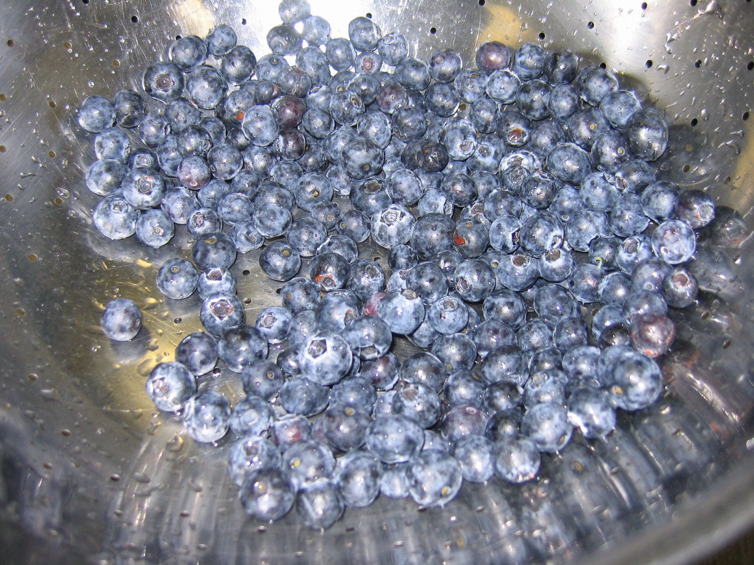 Blueberry Jam 8 oz. True Blueberry Gourmet Flavor