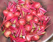 Pickled Beets: Pickle Spiced Like Grandma's Very Gourmet