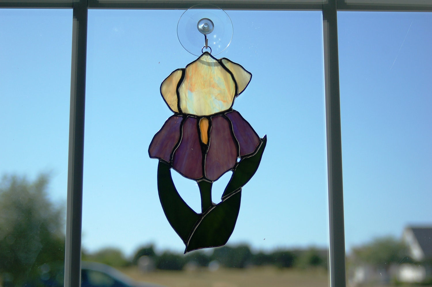 Stained Glass Iris