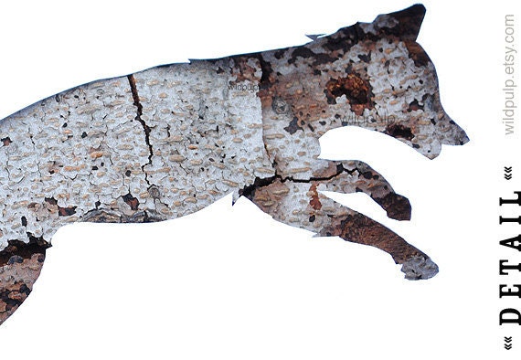 Red Fox Silhouette In Bark - Wall Art Decor : Woodland Animal Photography - Rustic Lodge & Home, Natural Boys Room, Nursery