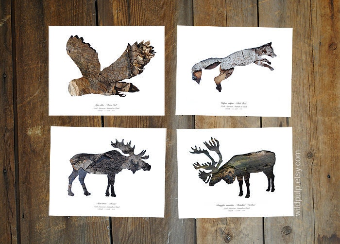 4 Bark Animal Silhouettes : Eco Decor, Nature Photography, Archival Prints - Rustic Woodland theme, Lodge, Home Art