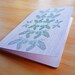 Large Owls Notebook